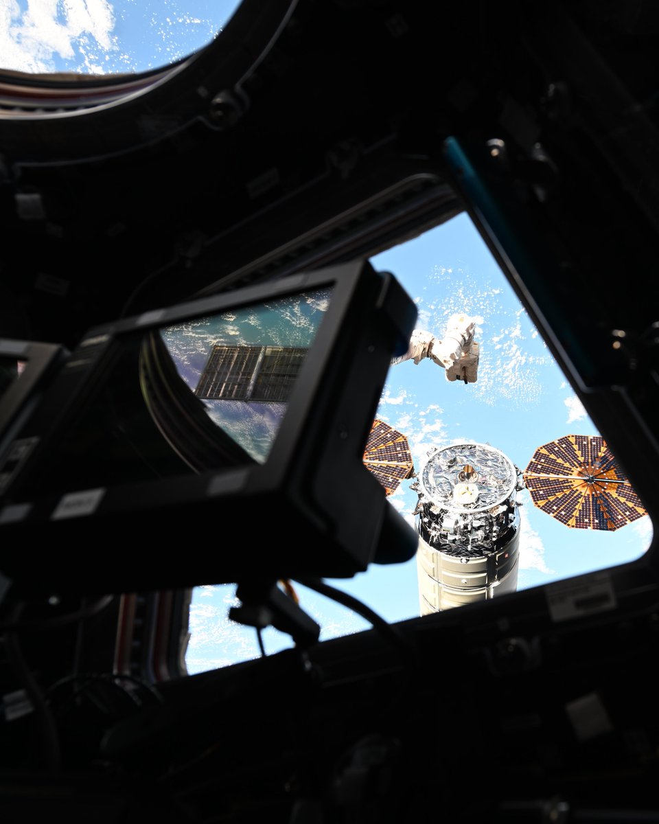 AsgardiaSpace's tweet photo. Cargo day in space.

Cygnus NG-24 was captured by astronauts using the Canadarm, bringing supplies, experiments, and maybe even fresh treats.

A little piece of Earth, delivered to orbit.

#ISS https://t.co/OvqDh2JWD0