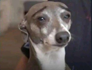 Why.One.Pa tweet media