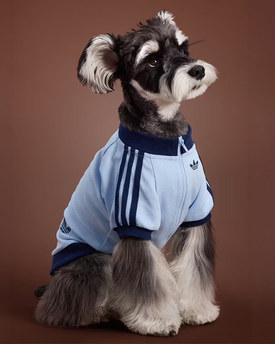 HYPEBEAST tweet media