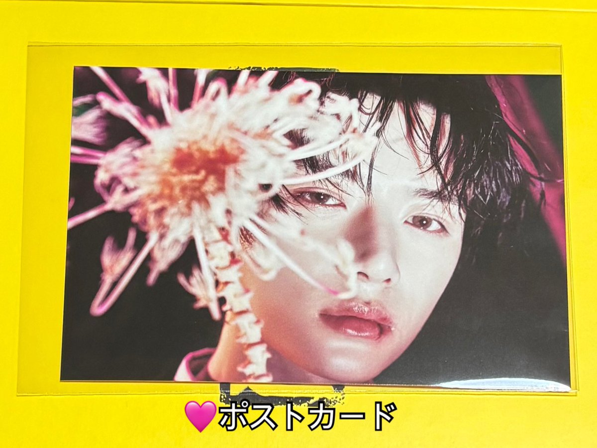 🎀 お声掛け前に固ツイご確認ください tweet media