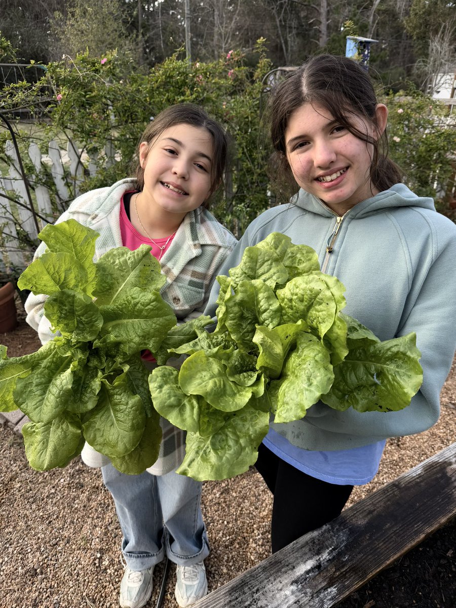 readygrowgarden's tweet photo. Itβs SCIENCE STAAR Day and we are so happy knowing that all of our Garden Day students are fully prepared with so many amazing earth and life science experiences reinforced in their SCHOOL GARDENS ππ±π₯ππΈπππ¦πͺ²#sciencestaar #outdoorlearning #schoolgarden https://t.co/07tzFC6InI
