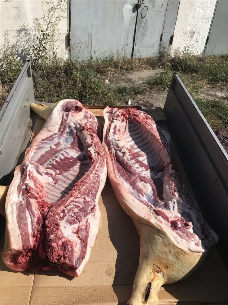 Upstanding Citizen tweet media