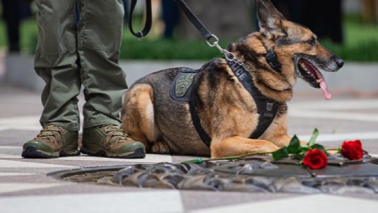 National Law Enforcement Officers Memorial Fund tweet media