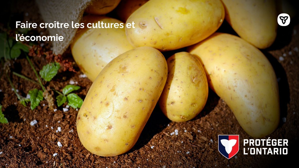 ONnord's tweet image. (1/2) #SVQ le Programme pour le drainage au moyen de tuyaux dans les régions de la @SGFPNO peut s’ajouter à d’autres sources de financement provinciales?