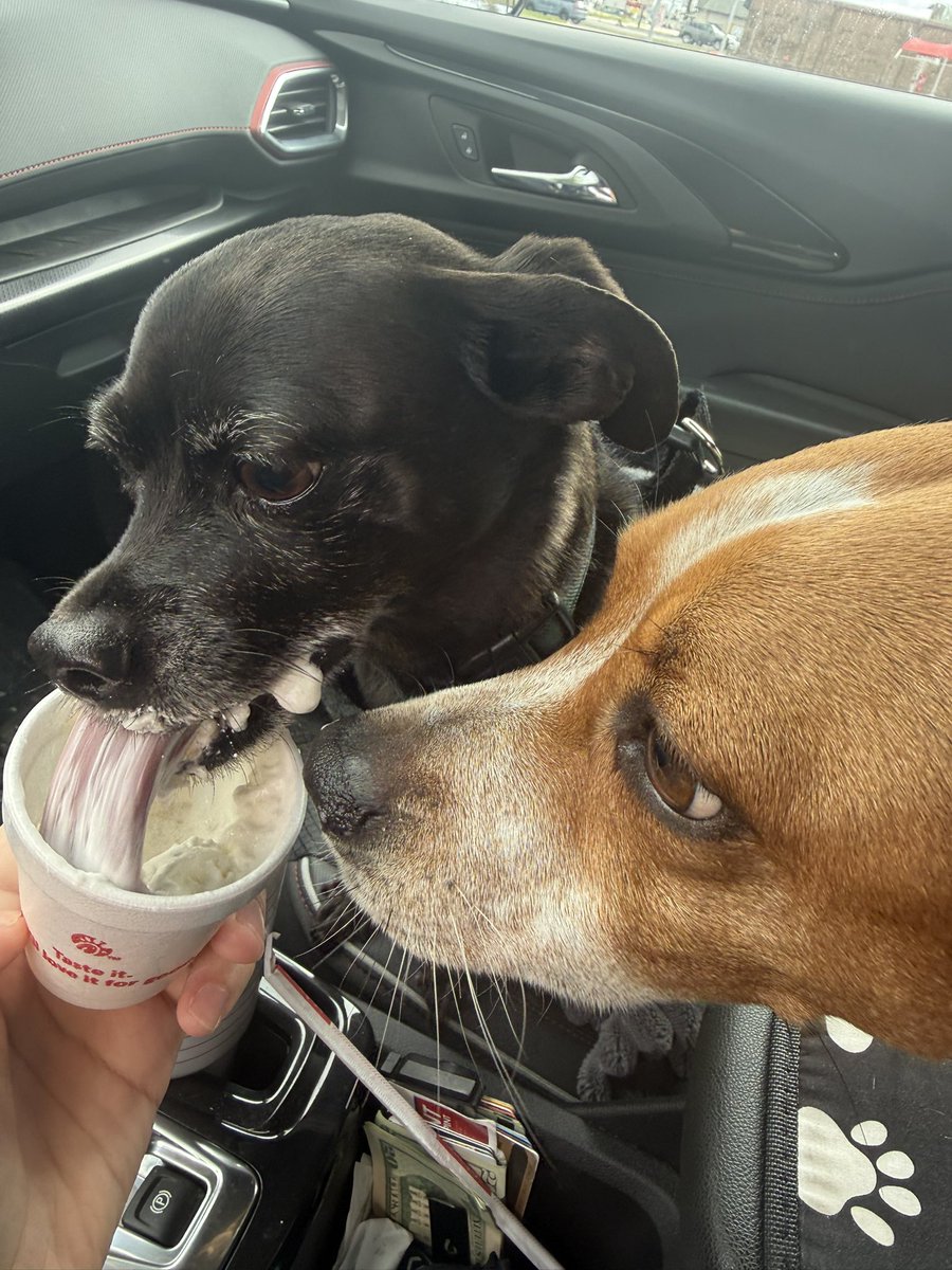 JoshuaChaoss's tweet photo. Chick-fil-A boys 🐾 https://t.co/klZjVLh2Kp