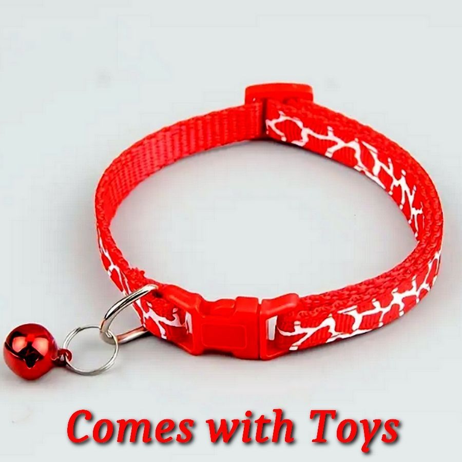 ❤️GET 35% OFF ALL BUNDLES NOW + FREE SHIPPING + GIFT WRAP❤️See Today's Featured Sale Item👉shortlink.store/1sgigxjwtsjh😍 Don't miss out, quantities are limited.🔥 All Sales Benefit Charity.🥰