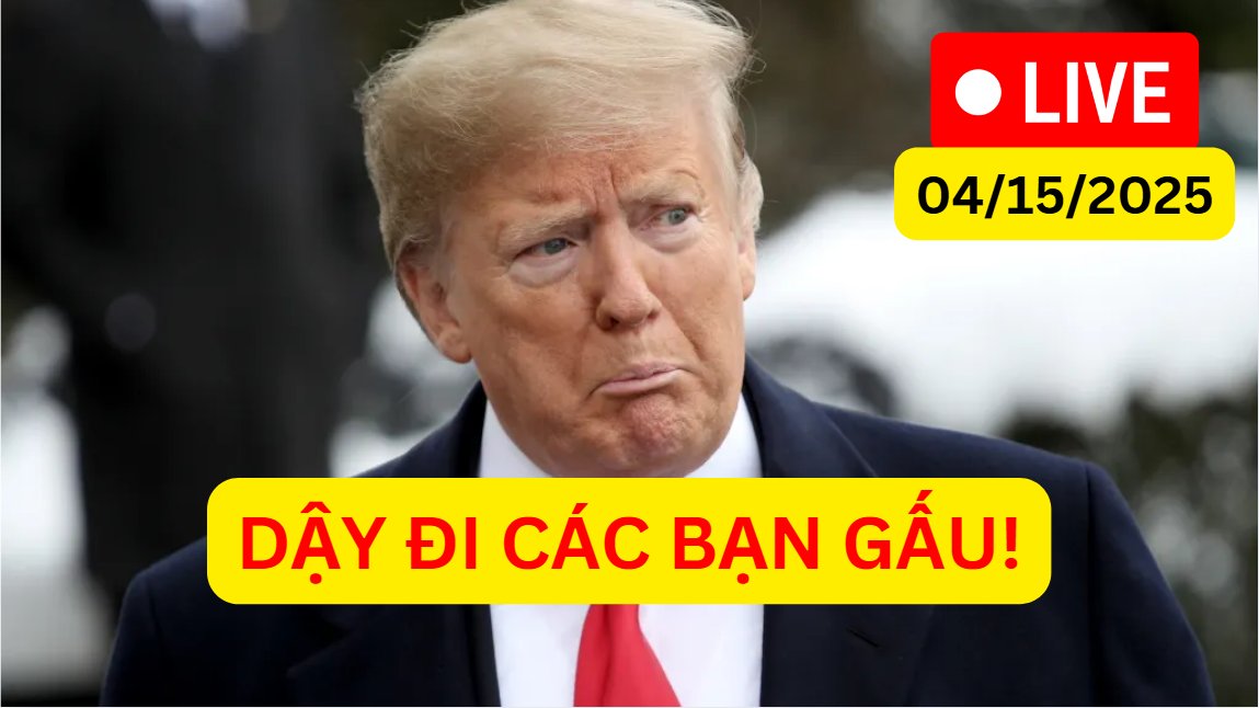 Steve Le tweet media