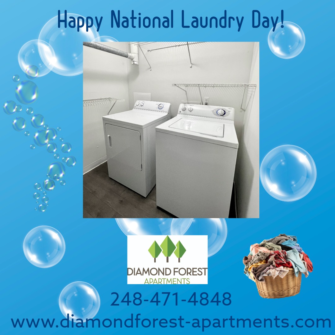 DiamondForestMI's tweet image. Happy National Laundry Day! 🧺✨ All of our apartment homes comes with a washer and dryer inside your home! #home #michigan #hayman #lovewhereyoulive #community #apartmentliving #diamondforestapartments #farmingtonhills #nationallaundryroomday