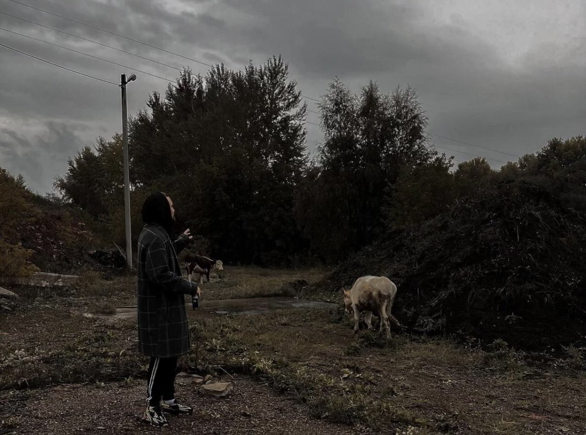 Бака 馬鹿 😶 tweet media