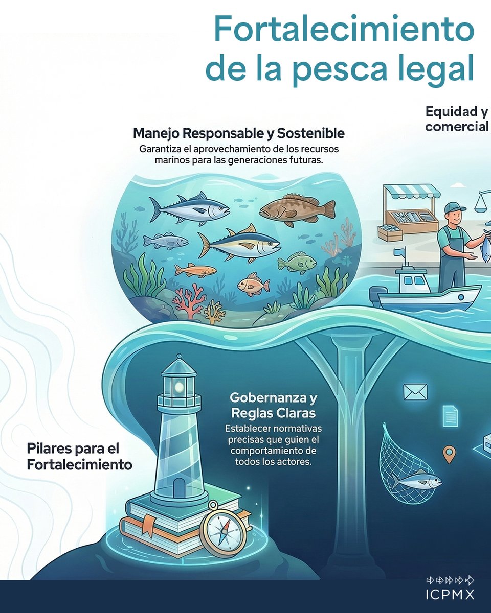 ICPMX1's tweet photo. Desde la línea de trabajo de Gobernanza, en ICPMX se impulsan acciones que contribuyen a fortalecer la legalidad en la pesca, mejorar la transparencia en la cadena de valor y apoyar el manejo responsable de los recursos marinos. https://t.co/rTuFfI297c