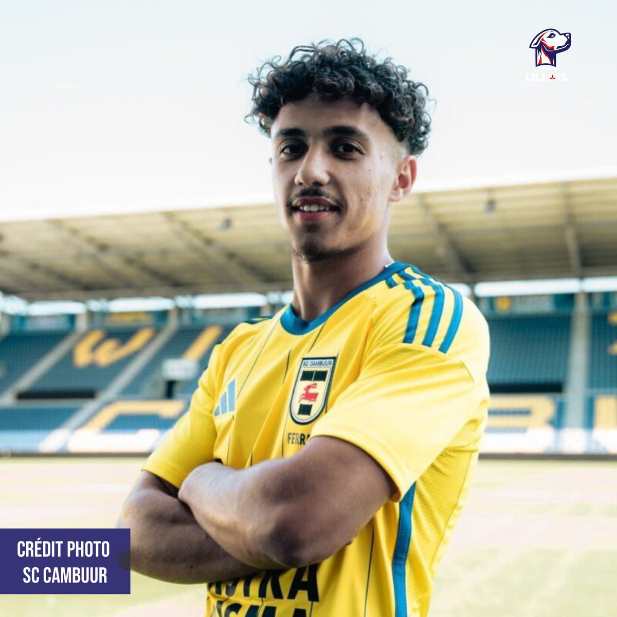 Le Petit Lillois ⚜️ tweet media