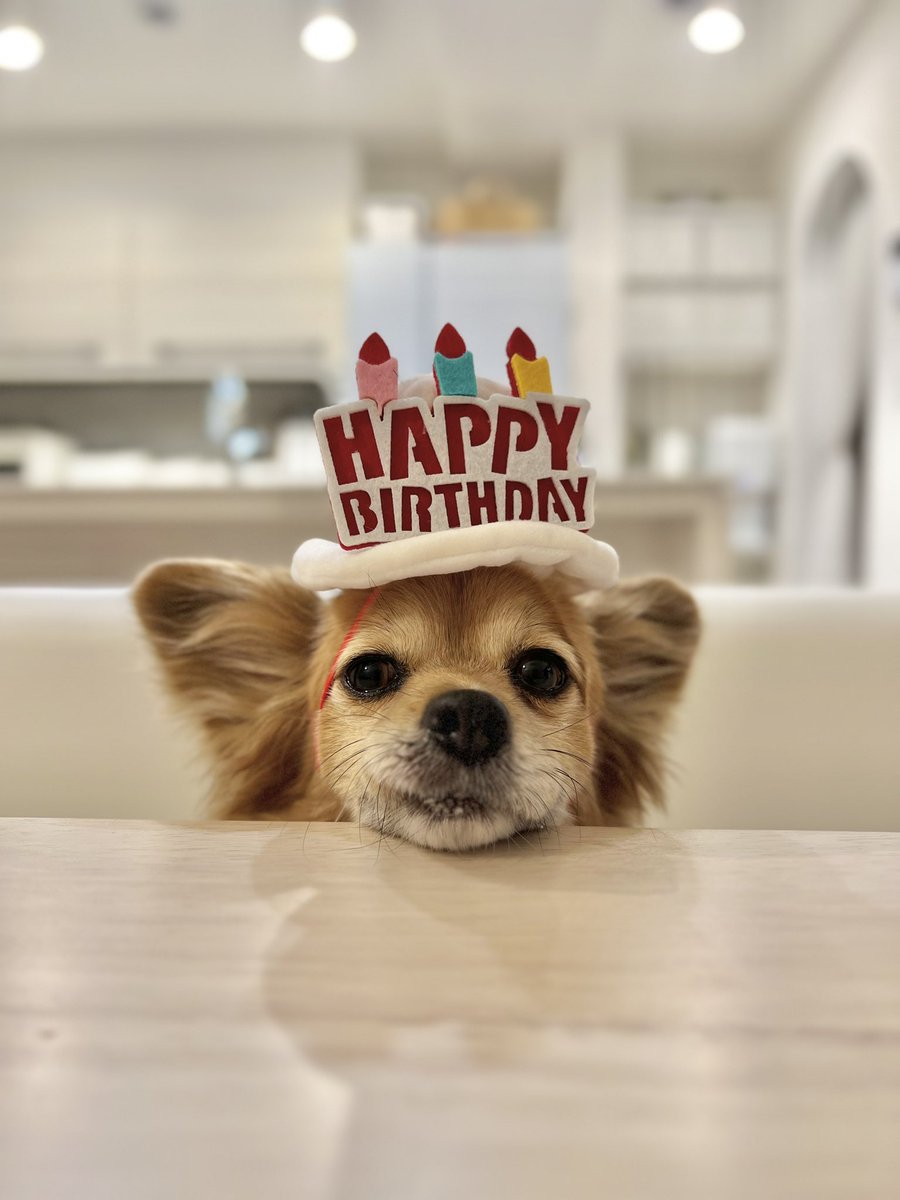 金治の孫 tweet media