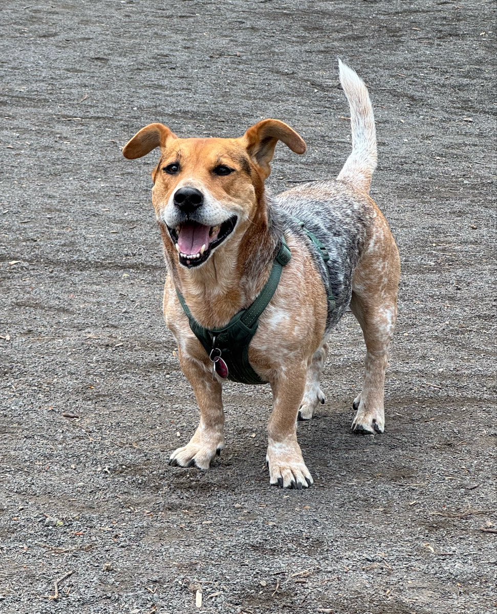 Sophie Vershbow tweet media