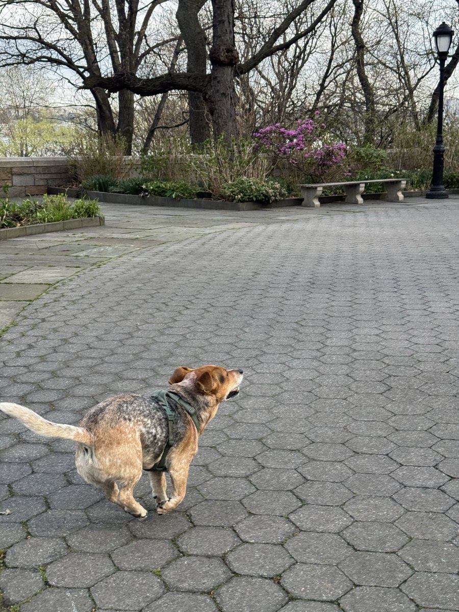 Sophie Vershbow tweet media