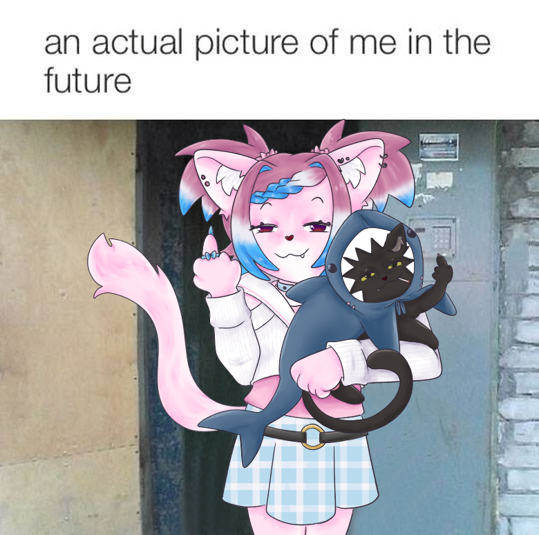 Bitez🌻🐾🧦 tweet media