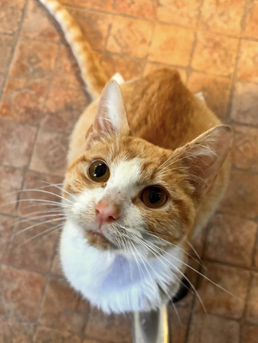 Andrea Álvarez tweet media