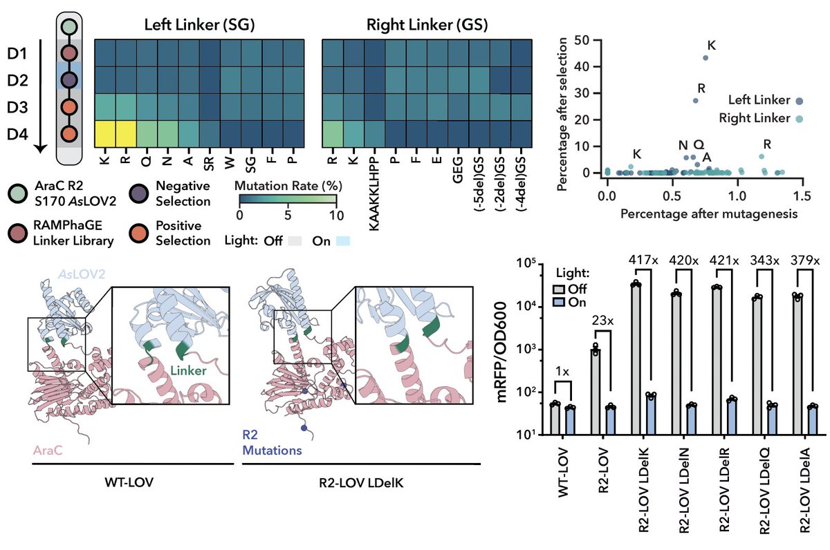 Nicholas Southern tweet media