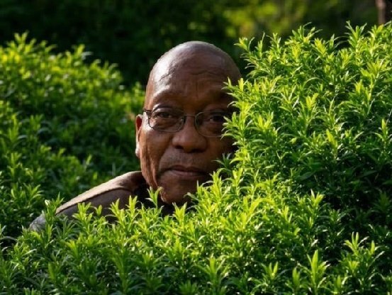 Payne 101 tweet media