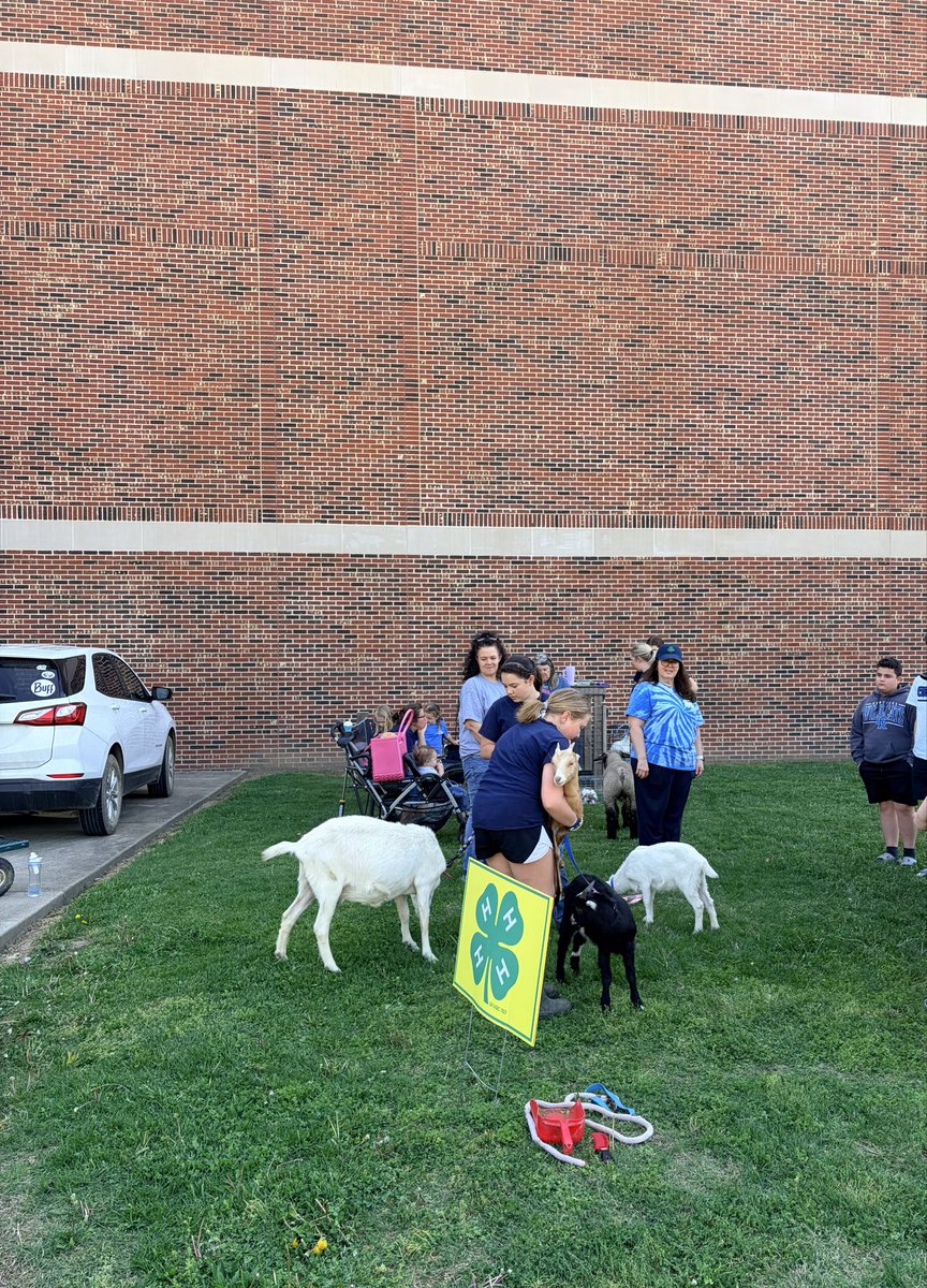 boydsbistro's tweet photo. 4H Ag Day here at BCMS!  Vibrant learning at its best!  @BoydCoSuper @Janice_Marcum @BCMSBoyd https://t.co/uqLbDIBBa4
