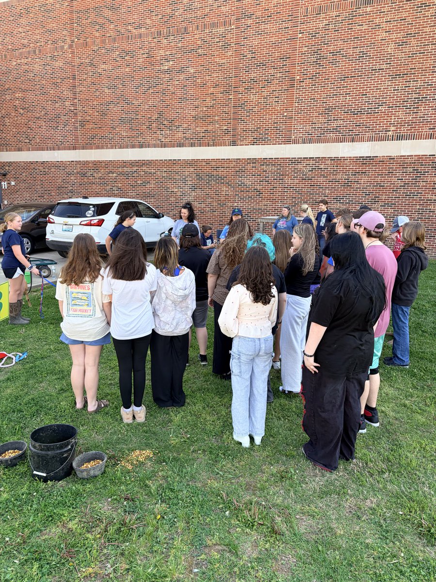 boydsbistro's tweet photo. 4H Ag Day here at BCMS!  Vibrant learning at its best!  @BoydCoSuper @Janice_Marcum @BCMSBoyd https://t.co/uqLbDIBBa4