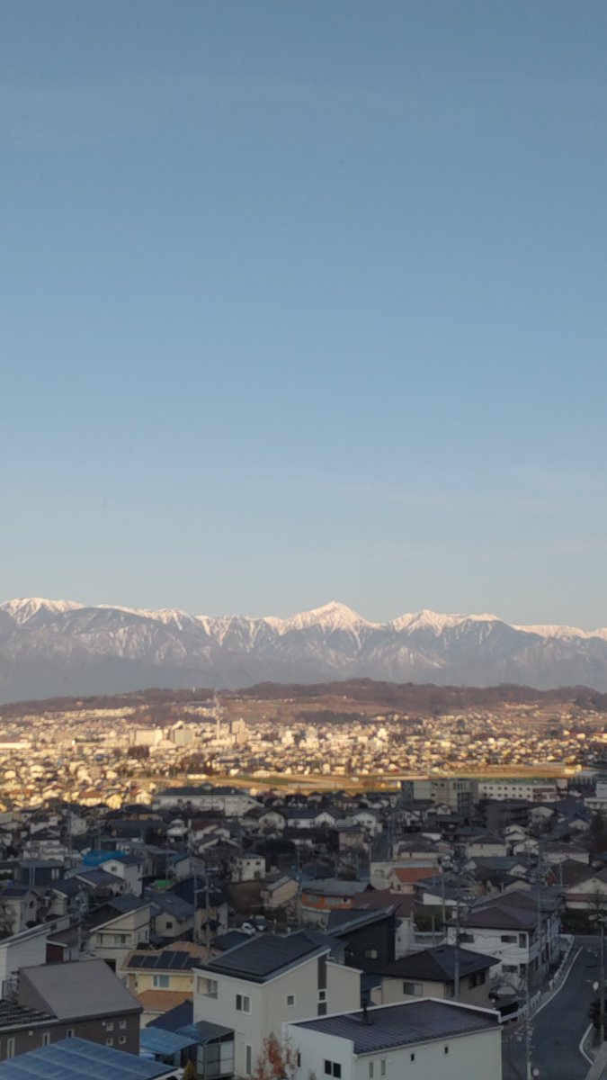 白い鳥 tweet media