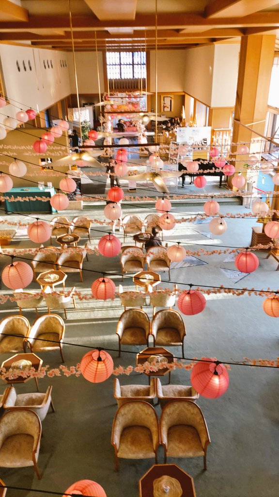 白い鳥 tweet media