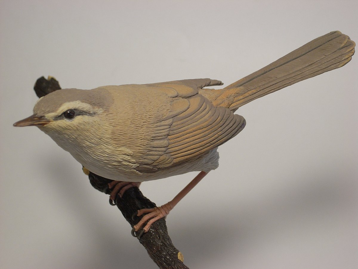 三浦二郎 tweet media