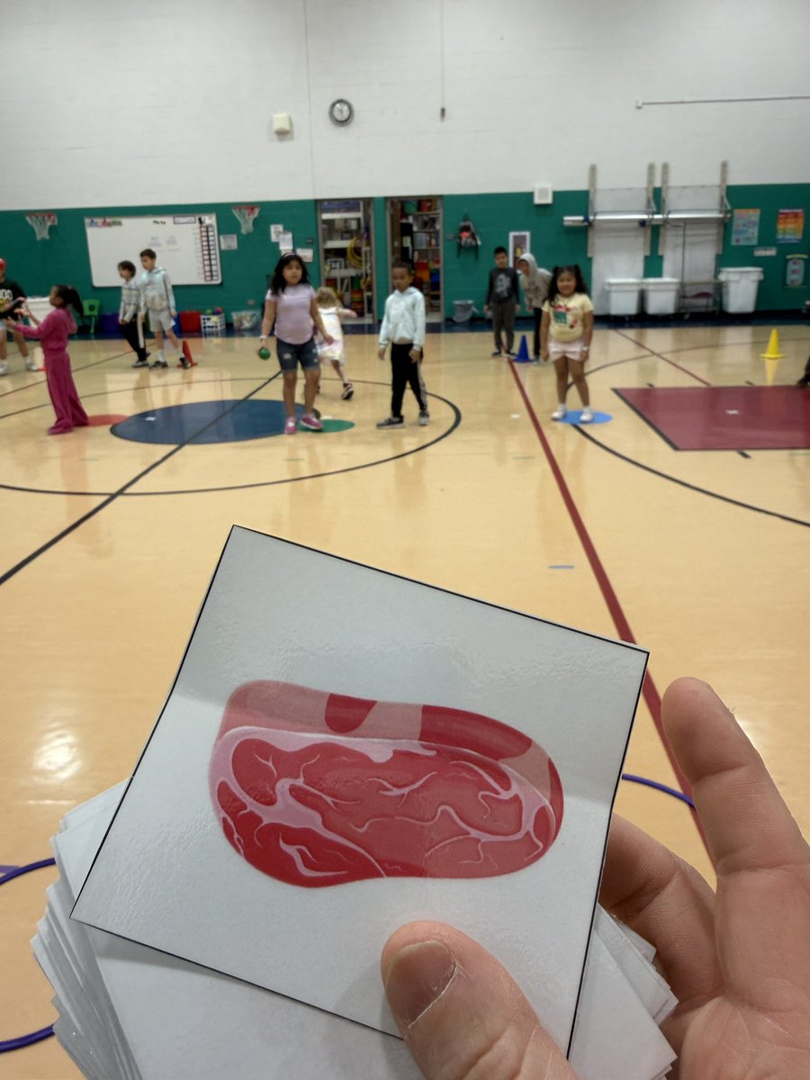 BoPhillips10's tweet image. Modified Food Group Pool Blitz from @TheCoachFuller along w/ food cards from @mchamberlainPE TY both. Ss need to roll their ball into the right hoop that matches the color of the food group. Afterwards they sort their foods into groups. #physed #nutrition #D59PE @D59SaltCreek