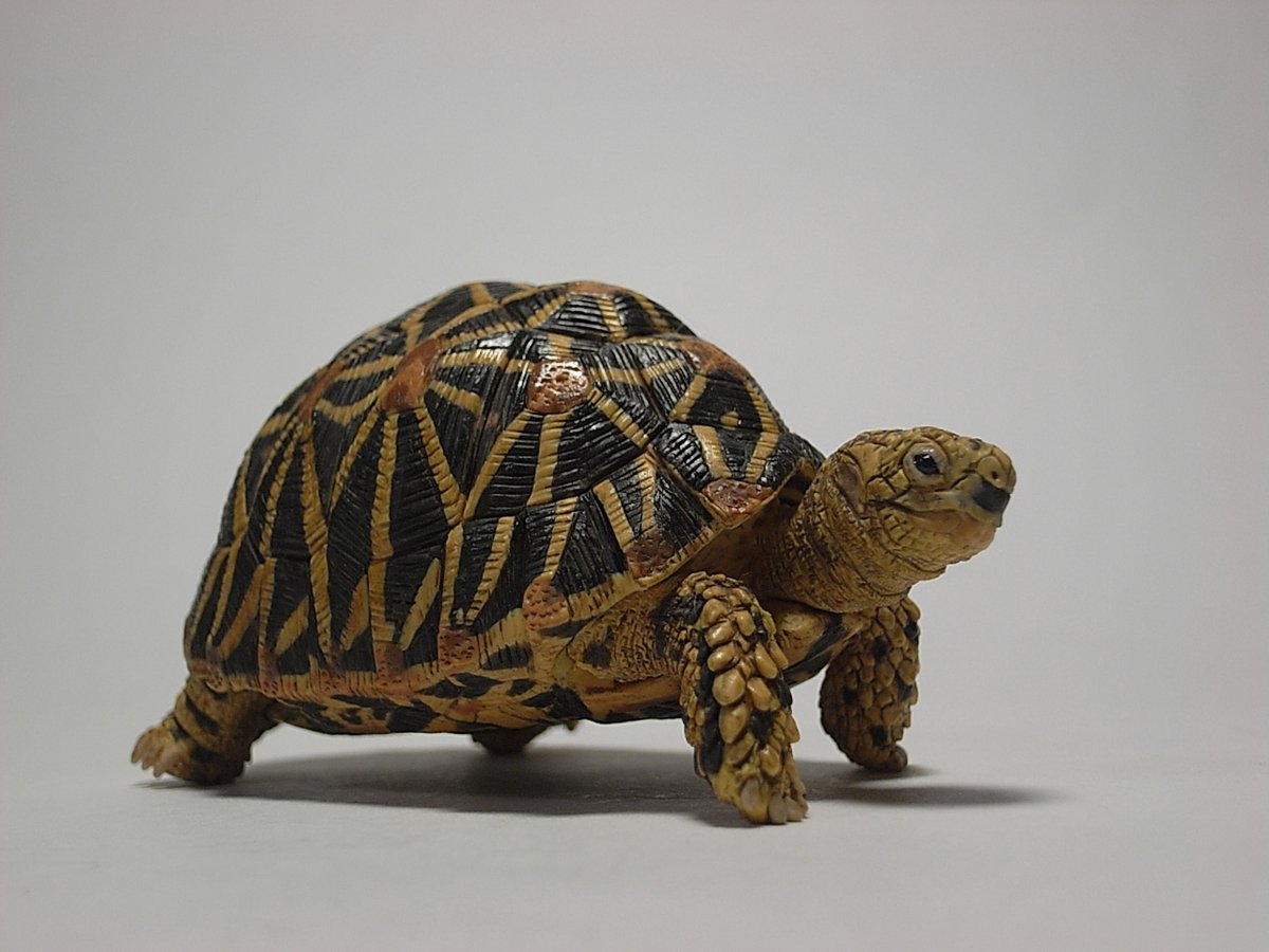 三浦二郎 tweet media