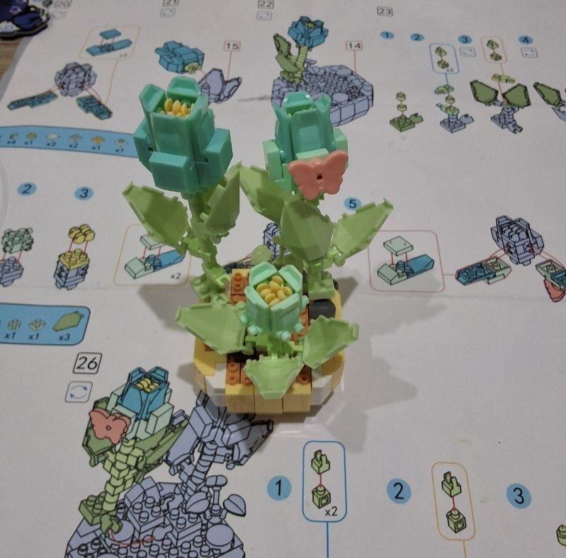 Alicia 🐣 tweet media