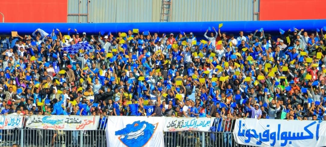 Mahmoud Shawky tweet media