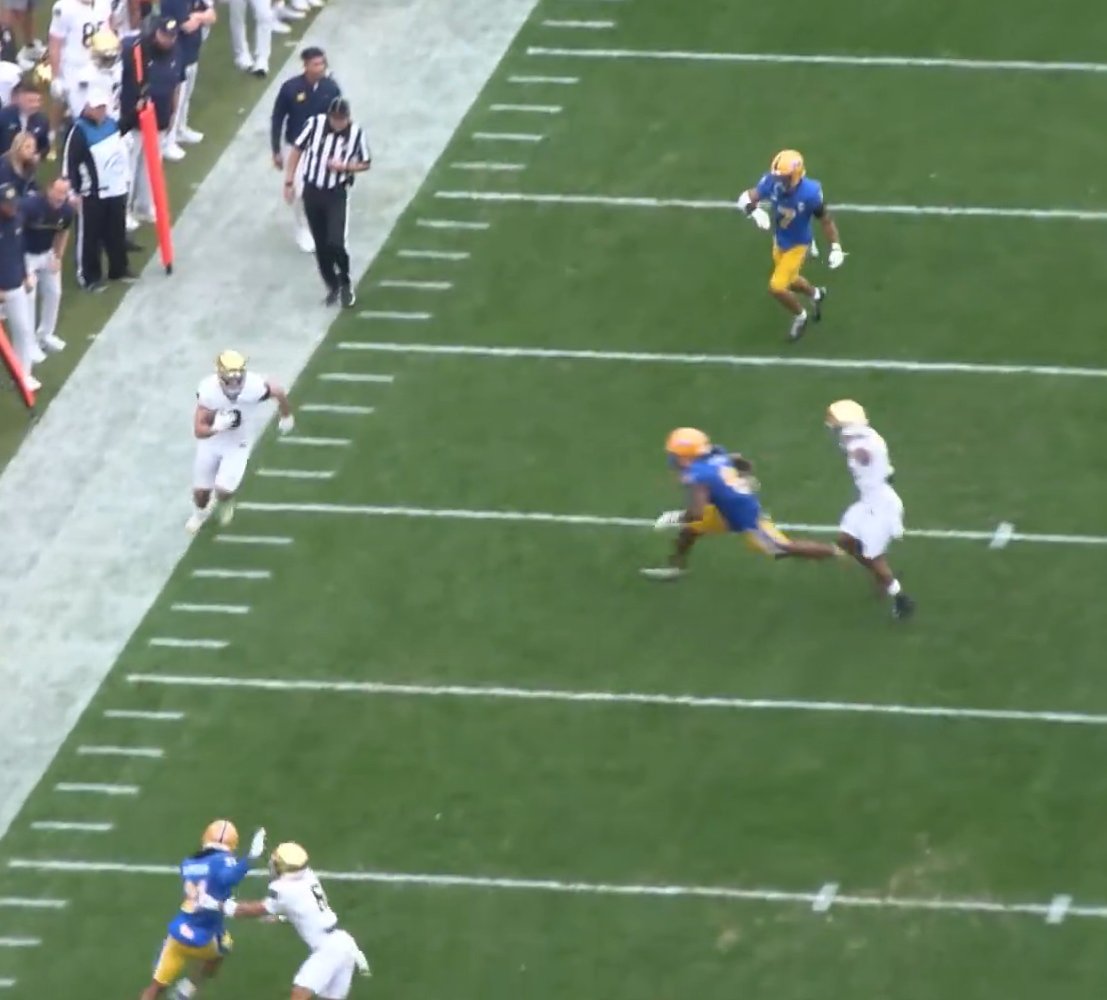 Dynasty Zoltan tweet media