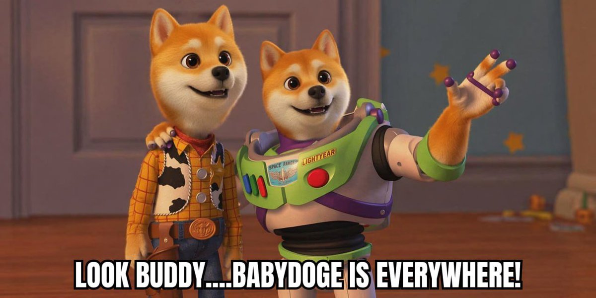 Baby Doge tweet media