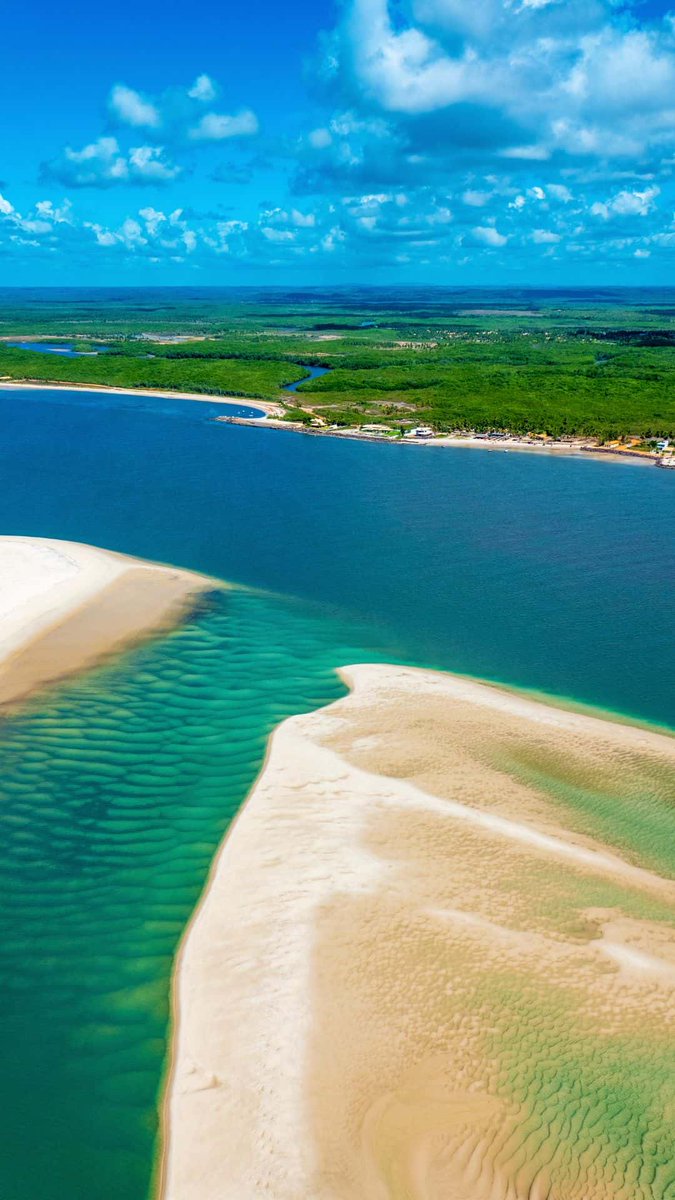 Moon Renault 🌙♠️ 🫧 tweet media