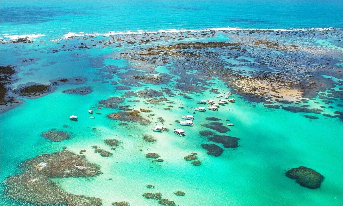 Moon Renault 🌙♠️ 🫧 tweet media