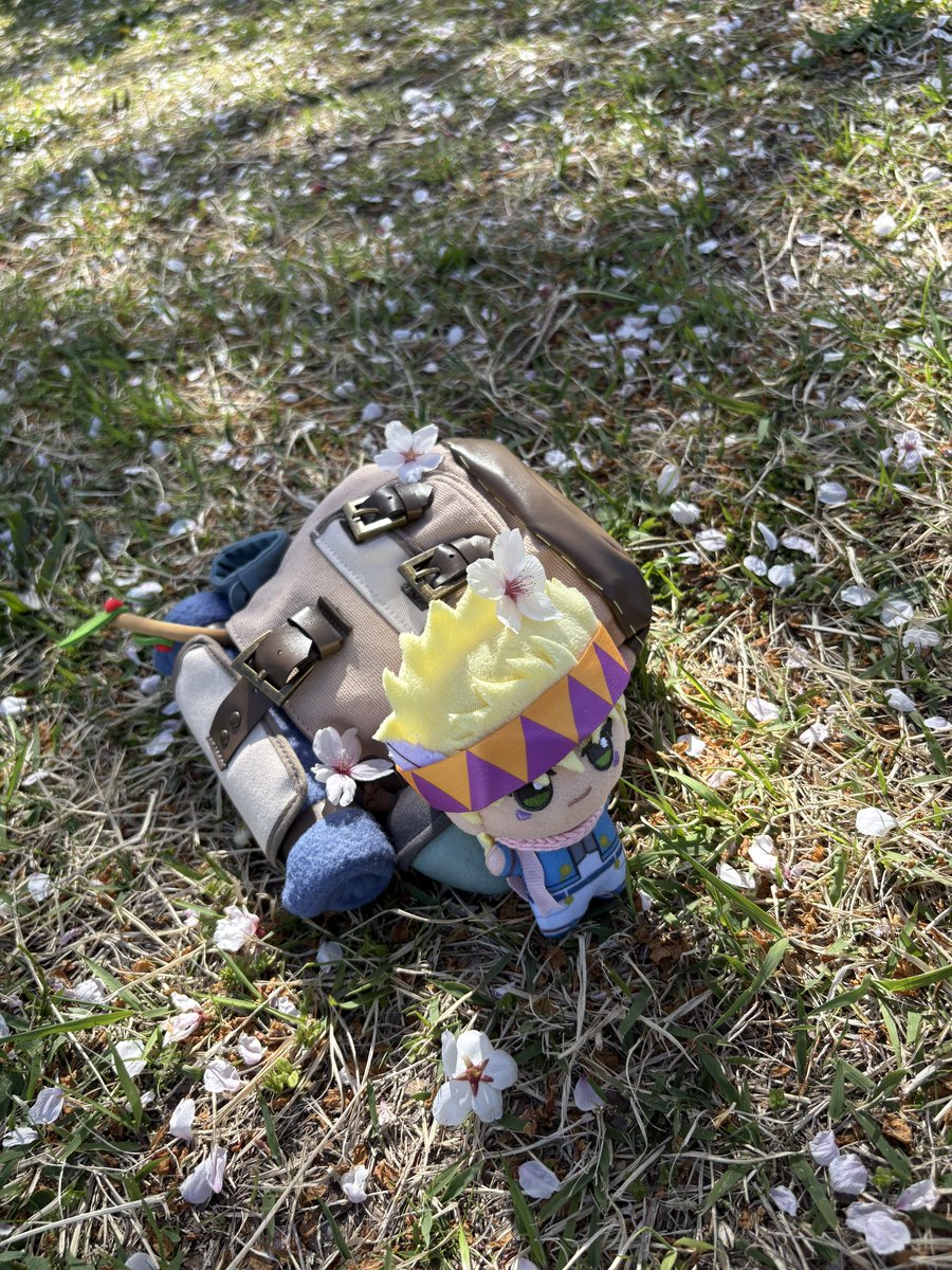 ざー。 tweet media