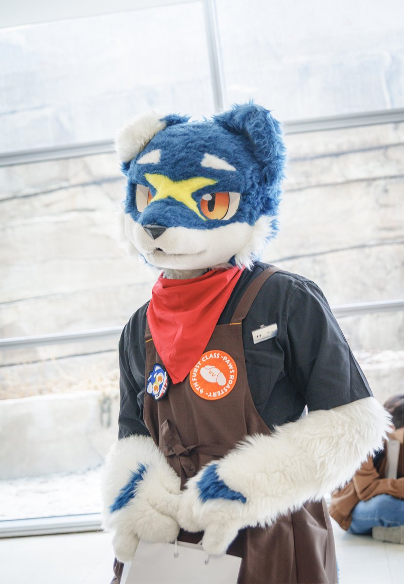 rapid_renard 🔜 FurstClass tweet media