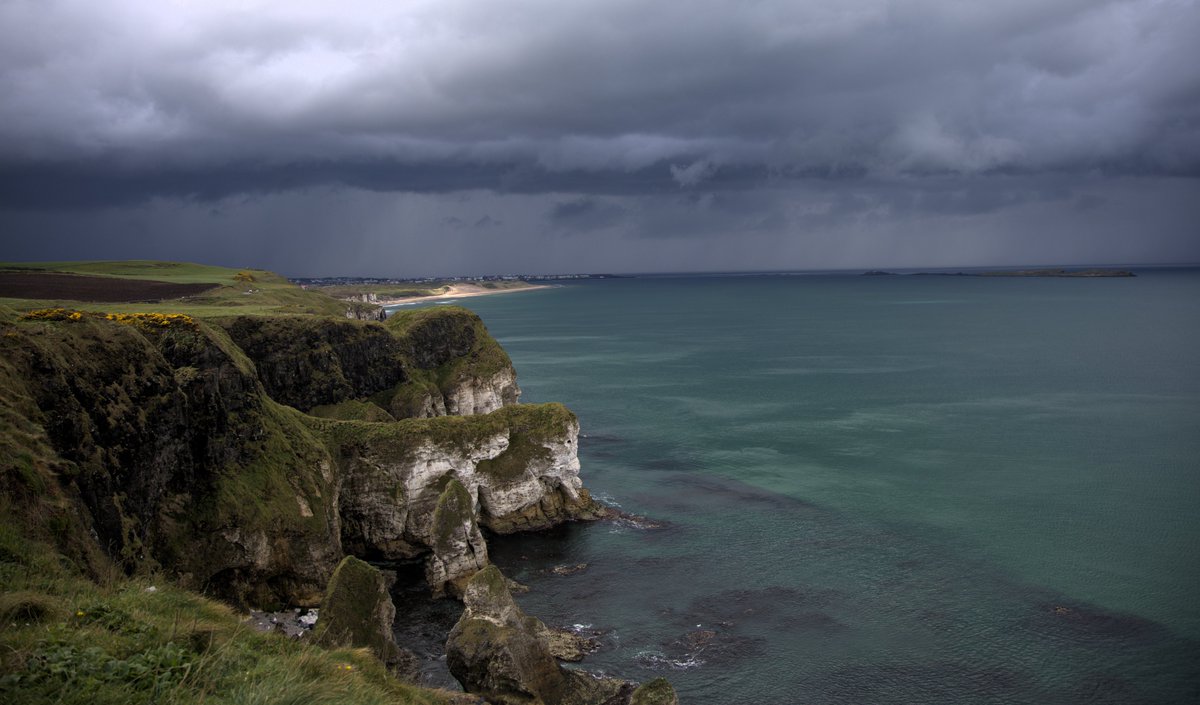 Maureen Kane tweet media