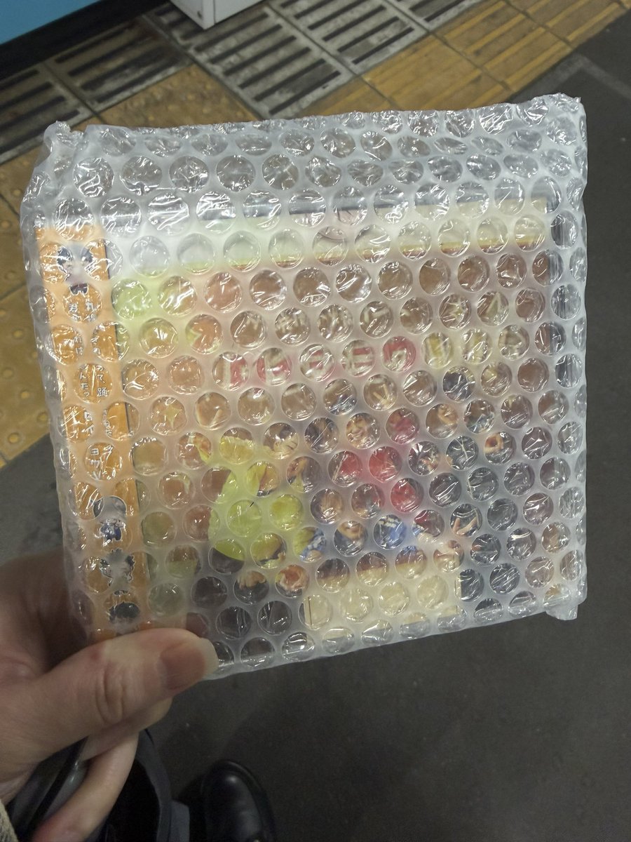 ぽち🐶🏠 tweet media