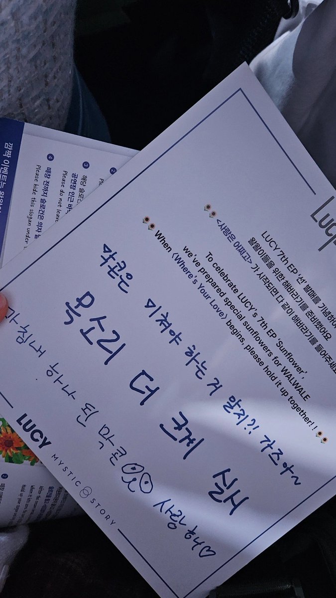 돌맹이 tweet media