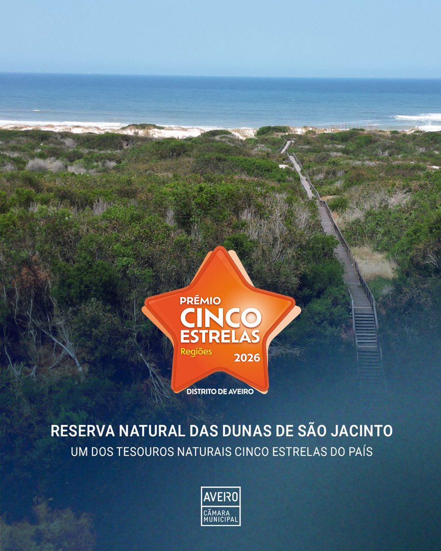 Município de Aveiro tweet media