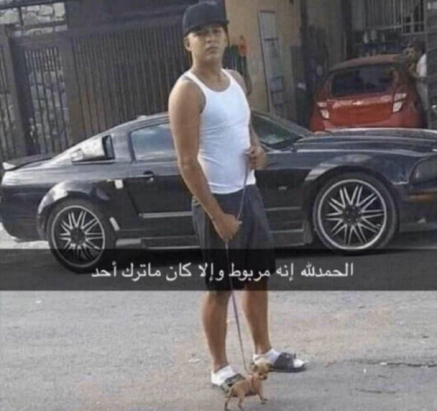 Asiakupk's tweet image. قسم بالله تفشل تبي تبين ان المسلسل احزاب و عندها حزب وكذا .
حبيبتي انتي حتى لو عندك حزب هو اضعف و اتفه حزب في المسلسل يلااا.
#Yeraltı