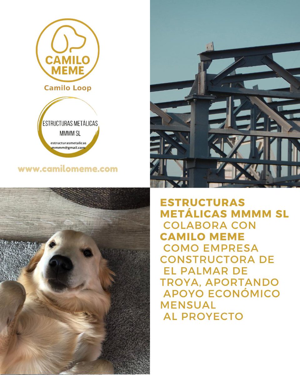 Camilo Meme tweet media