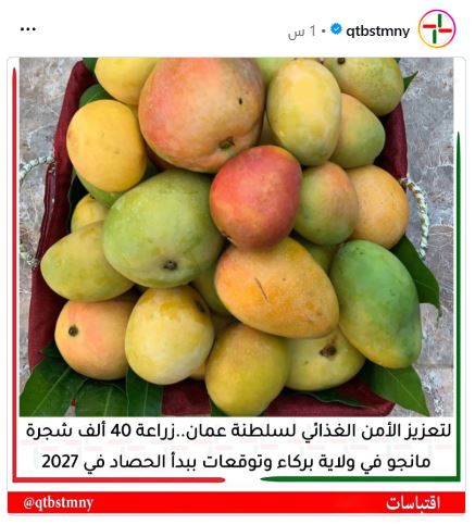 سلام السالمي tweet media