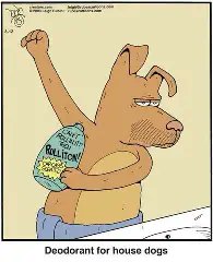 Willow🍁 tweet media