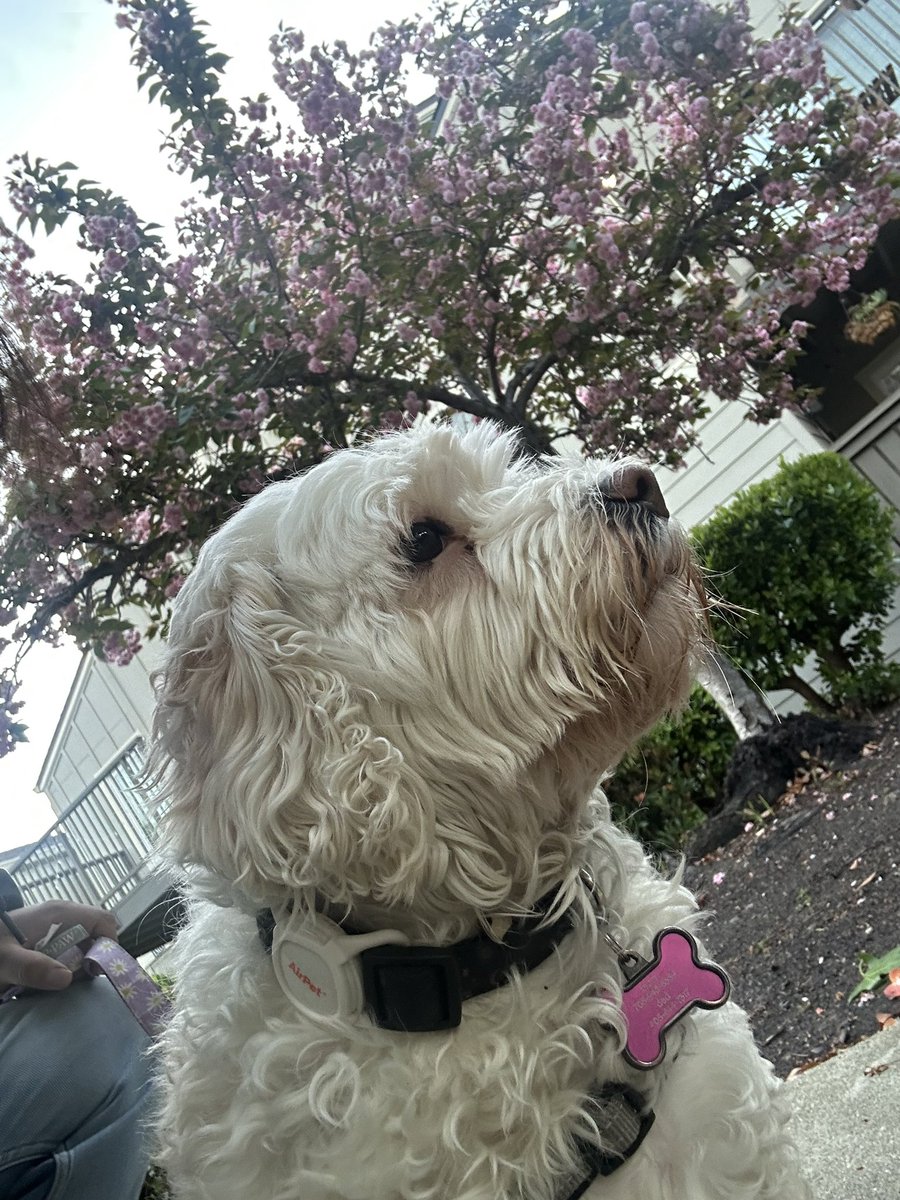 ThisIsFineGames tweet media