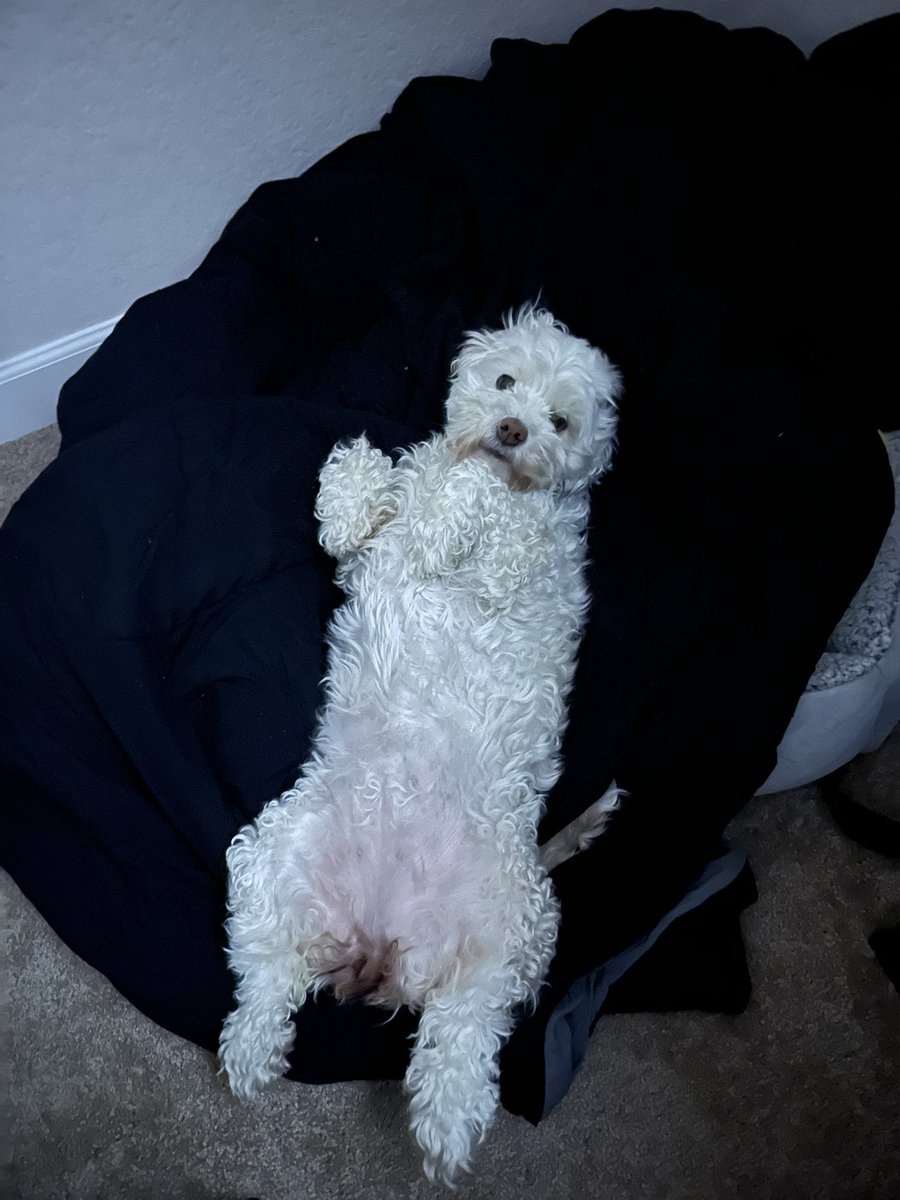 ThisIsFineGames tweet media