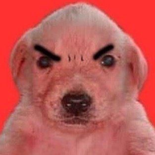 군인콤 (상태:화남) tweet media