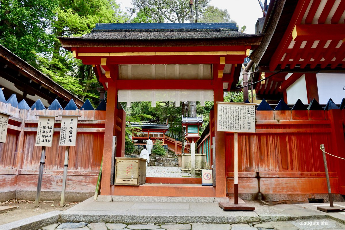 春日大社 kasugataisha shrine tweet media
