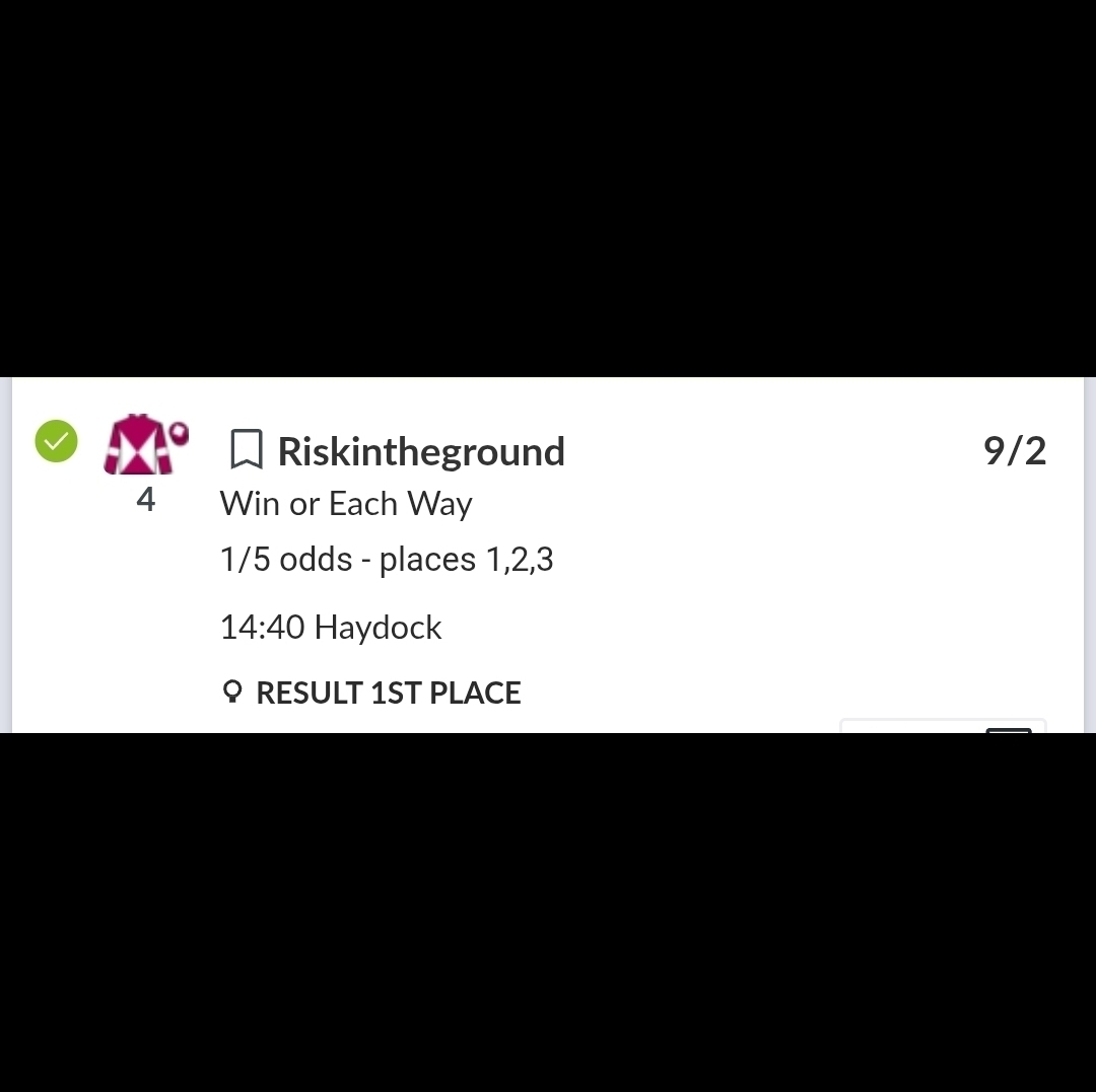 Neil's Nags! 🐎 tweet media